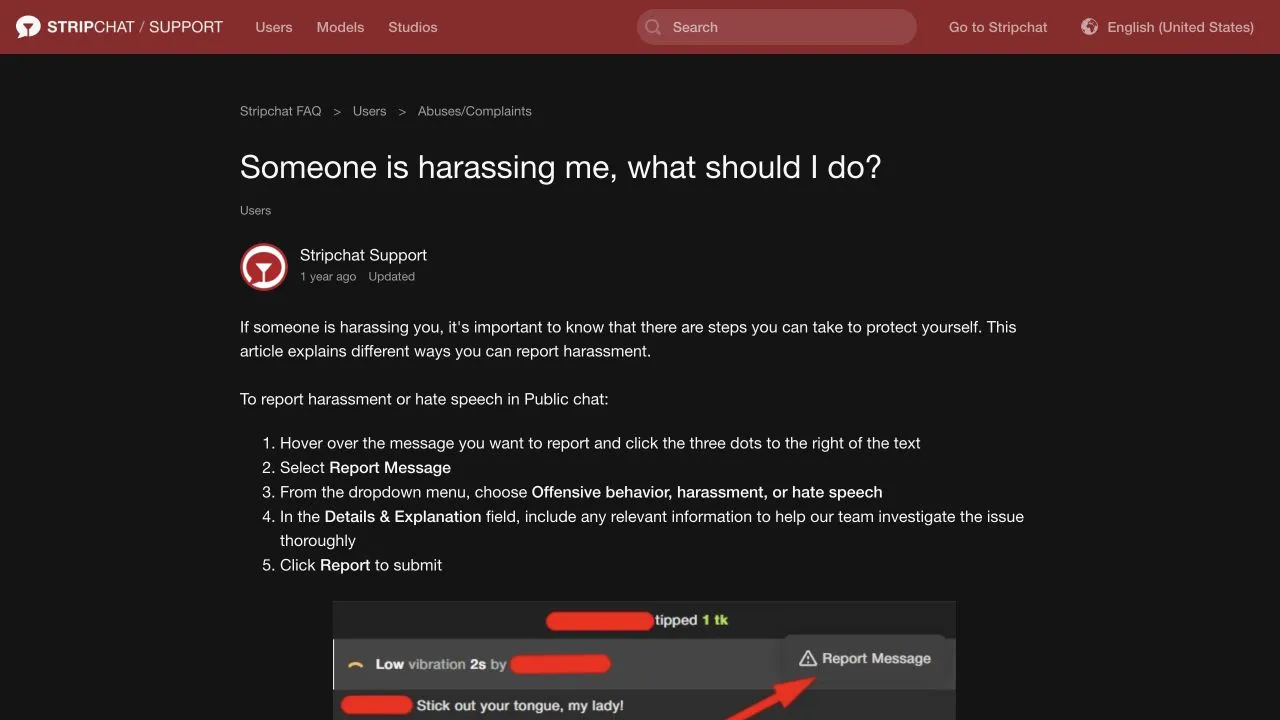 Stripchat help explaining how to report a public-chat message and provide details for a harassment investigation