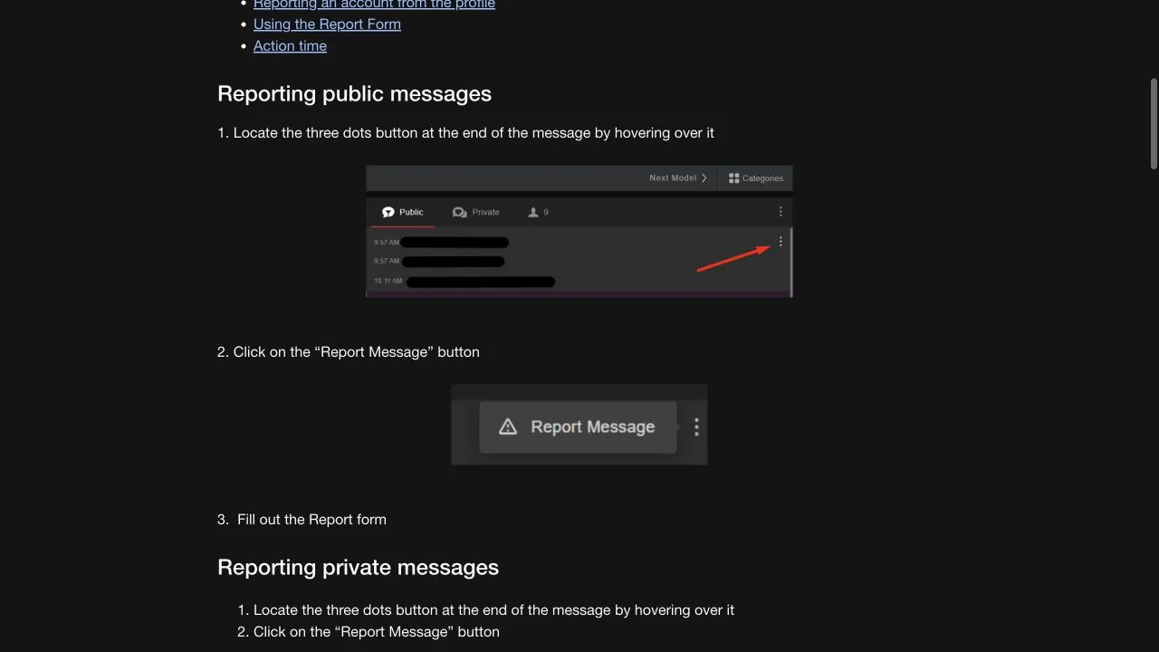 Stripchat help illustration showing the three-dot public-message menu and Report Message option